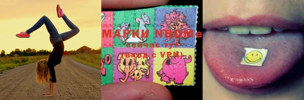 стафф Алзамай