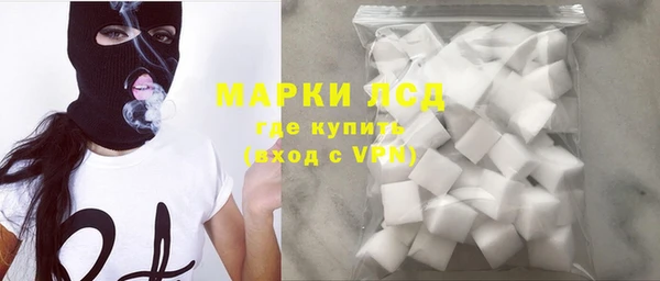 стафф Алзамай