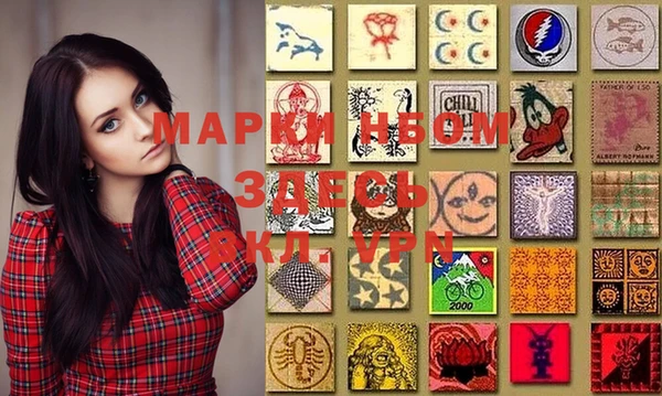стафф Алзамай
