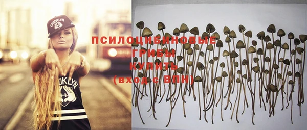 ешки Алексеевка