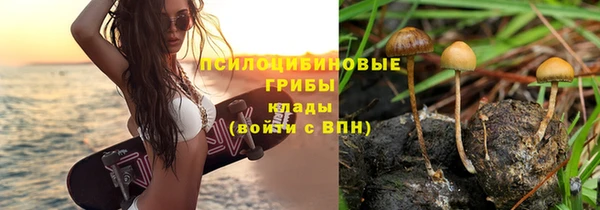 ешки Алексеевка