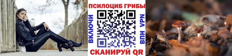 Псилоцибиновые грибы MAGIC MUSHROOMS  Бокситогорск 